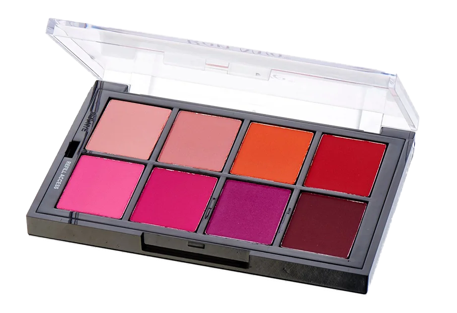Studio Color Vivid Blush Palette STP-65 Ben Nye